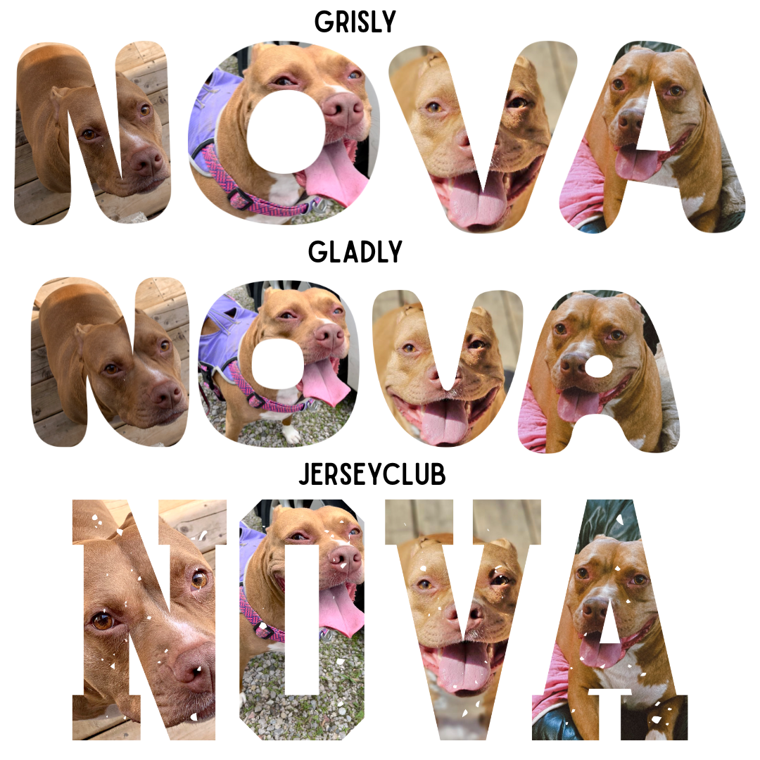 Customizable Image in Lettering T-Shirt