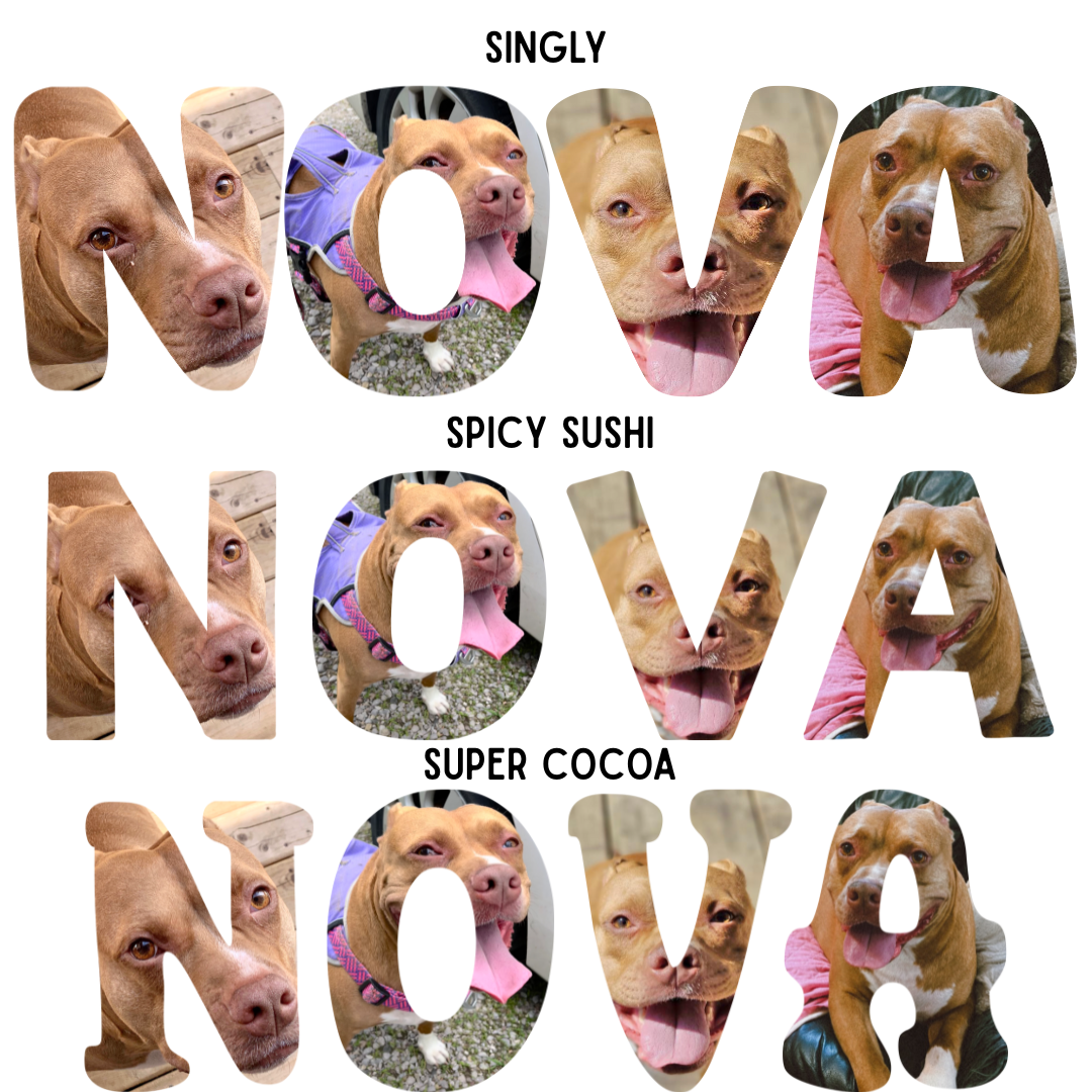 Customizable Image in Lettering T-Shirt