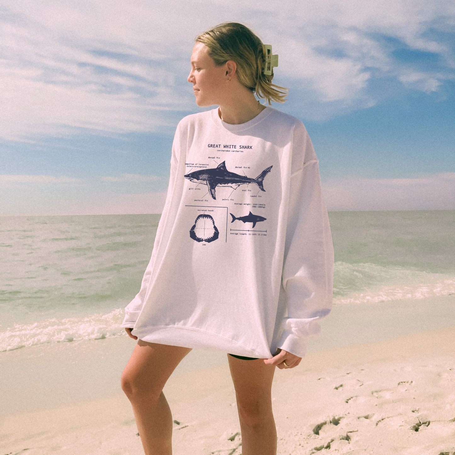🦈 Great White Shark Anatomy Sweater