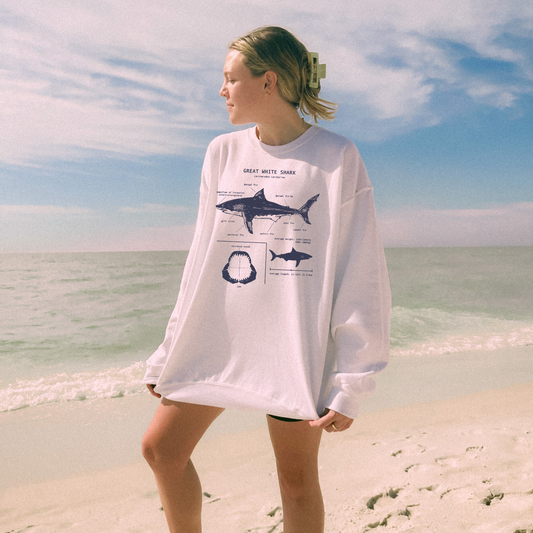 🦈 Great White Shark Anatomy Sweater