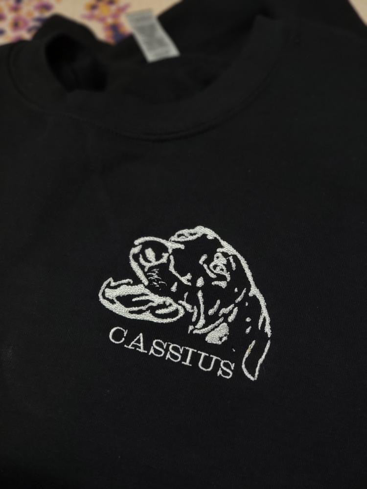 Pet Face Custom Embroidered Sweater