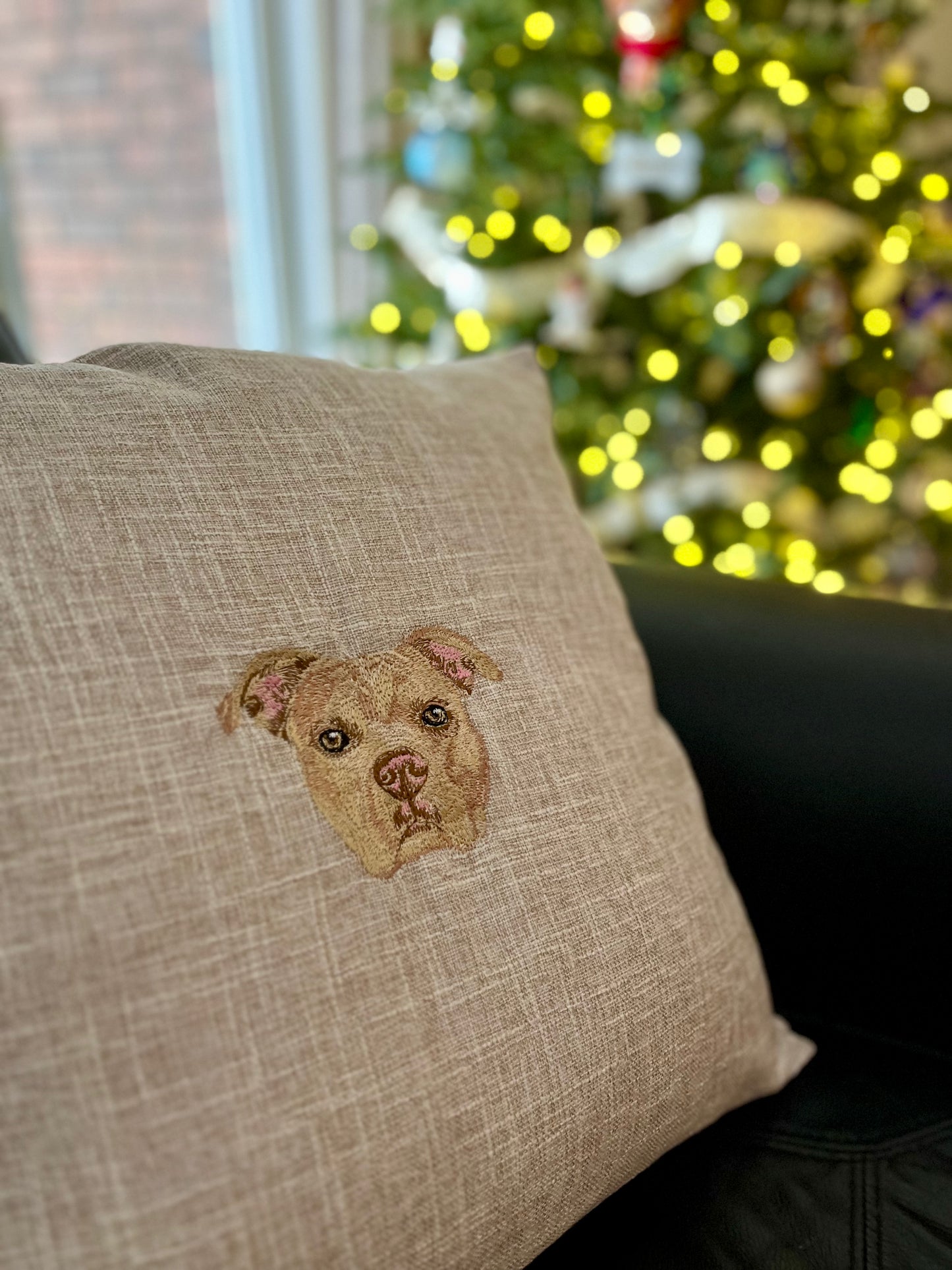 Pet Portrait Throw Pillow Shams