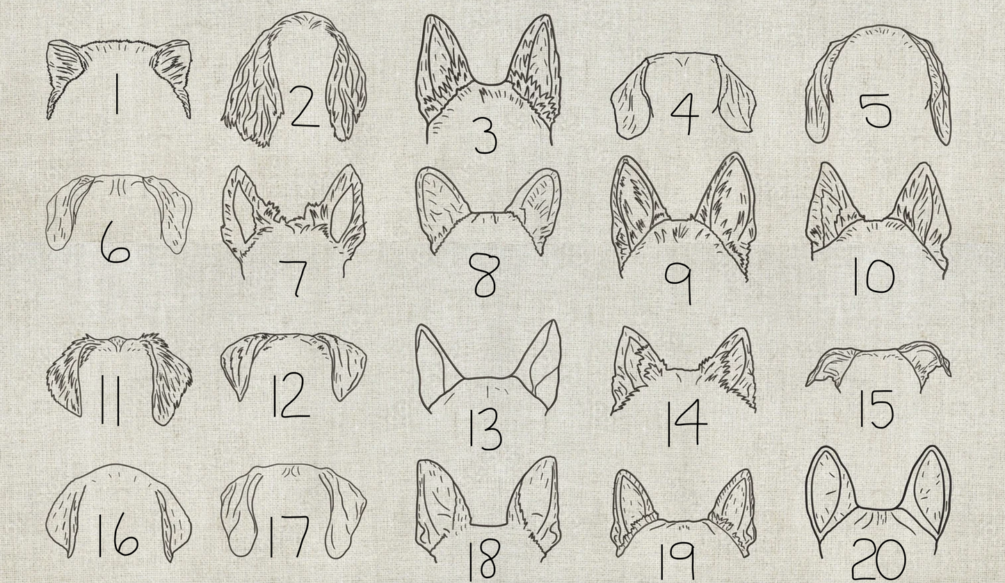 Dog Ears w/ Name Custom Embroidered Sweater